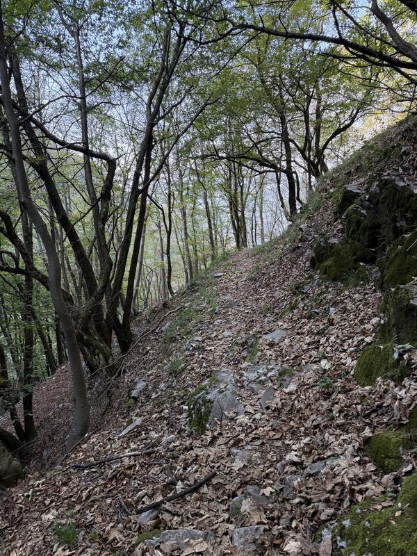 Alpe di Melano – Bellavista 3