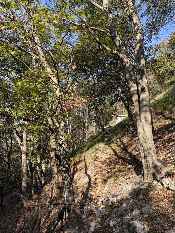 Alpe di Melano – Bellavista 4