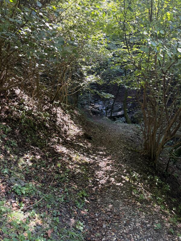 Ruvers – Alpe Bogo 3