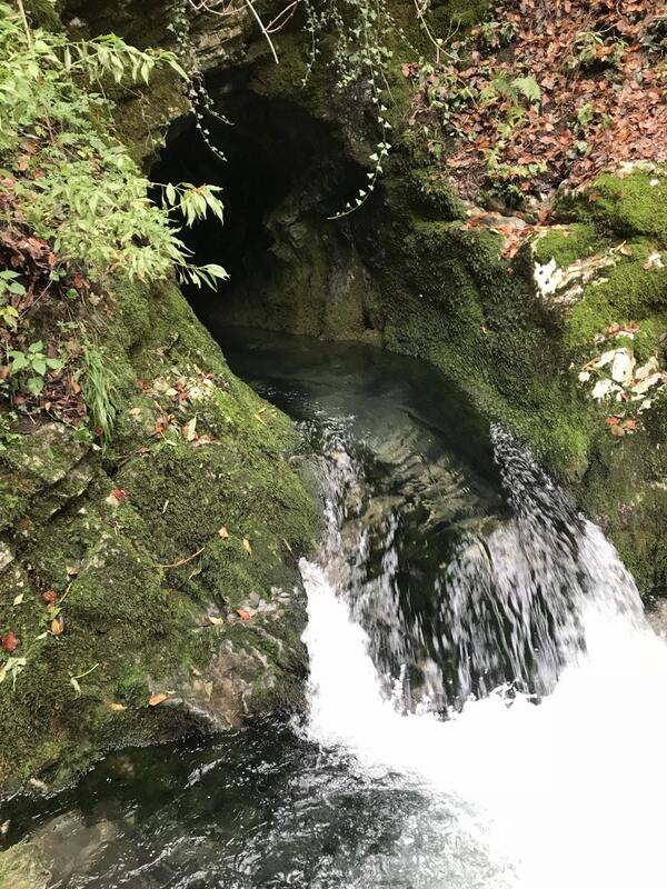 Sovaglia 3
